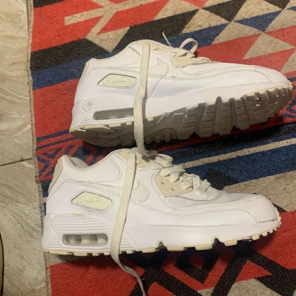 Nike Air Max 90 Triple White CN8490-100